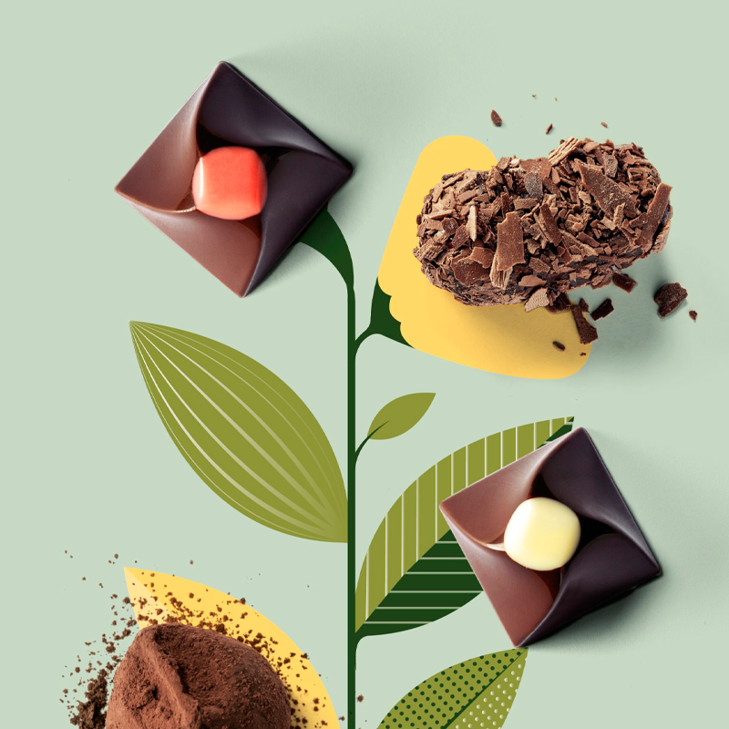 Vegan & Plant-Based